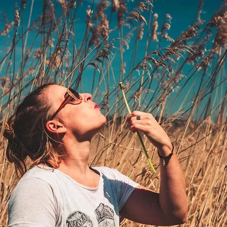 Haus Löwenzahn Hüttenrode