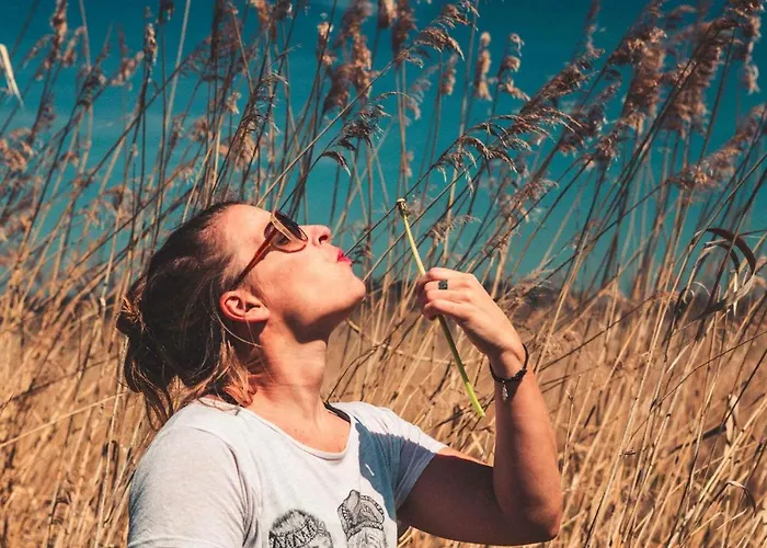 Haus Loewenzahn Hüttenrode